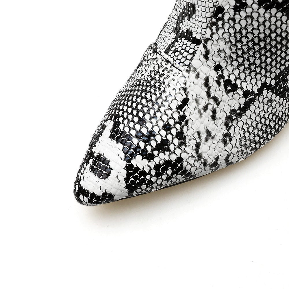 Puntige laarzen met dikke hak en ritssluiting